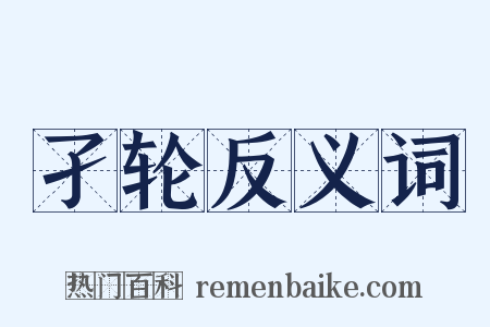 孑轮反义词是什么意思的图片